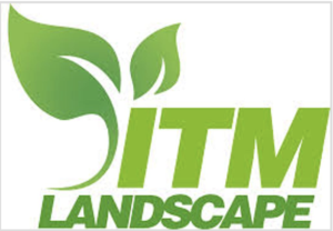 ITM Landscape